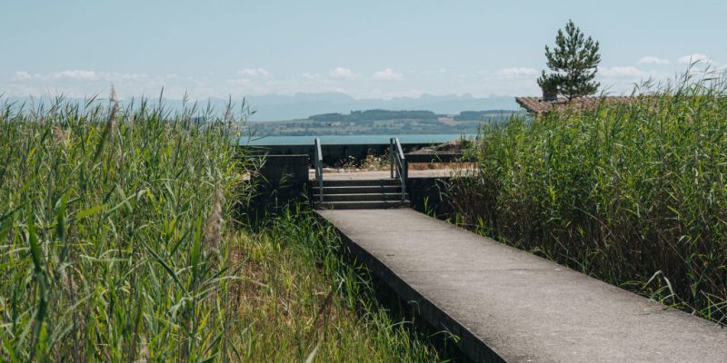 Du Rivage Aux Etoiles – musées de Neuchâtel