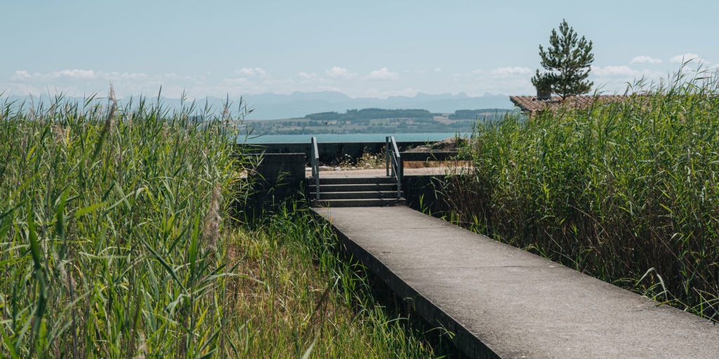 Du Rivage Aux Etoiles – musées de Neuchâtel