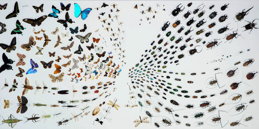 Muséum d’histoire naturelle de Neuchâtel